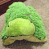 turtlehermit